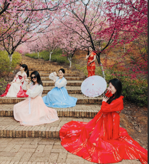 微信图片_20230314113646